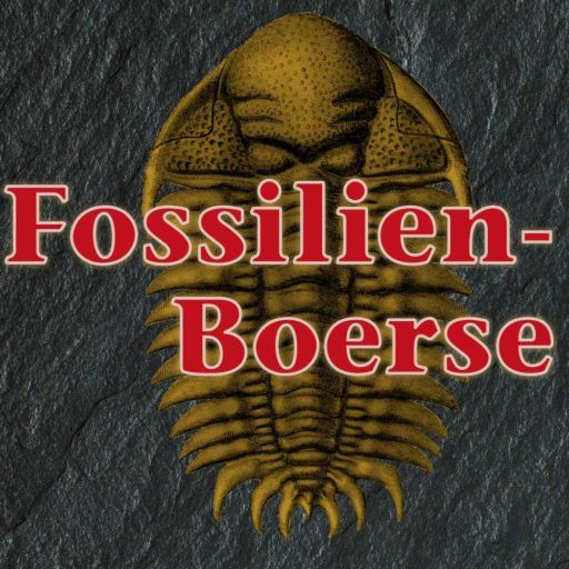 Fossilien_Verkaufen_Fossilien-Boerse